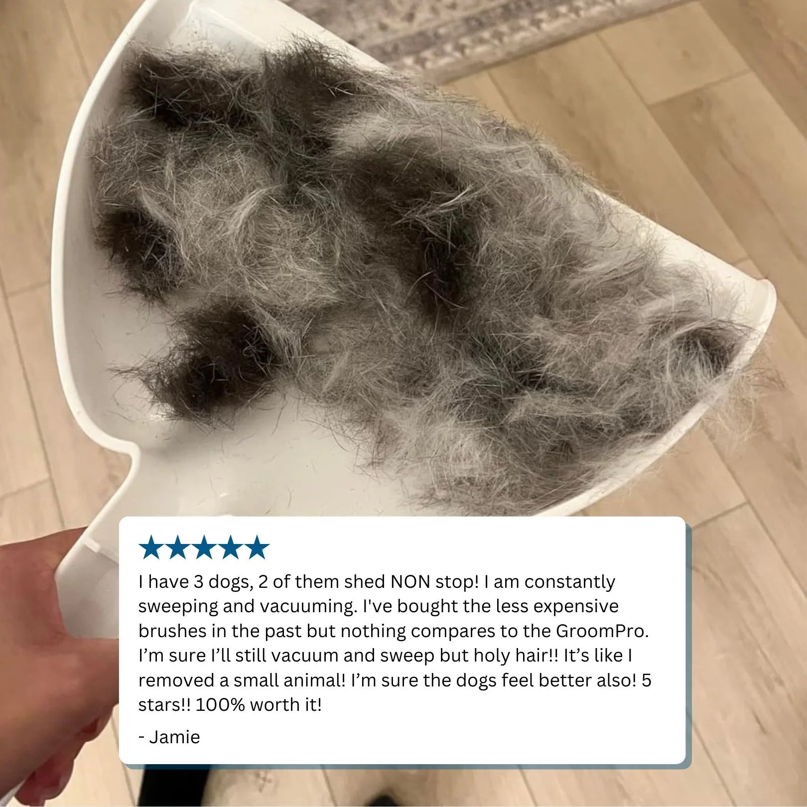 1787387167_GYiqT0U5 Profesjonalny PET Grooming Device
