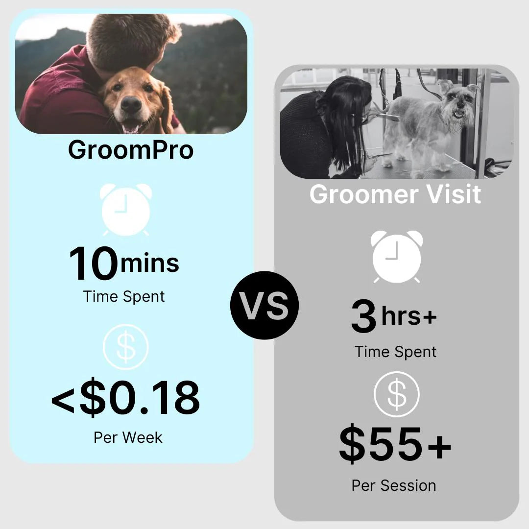 1787387182_H4wW8pin Profesjonalny PET Grooming Device