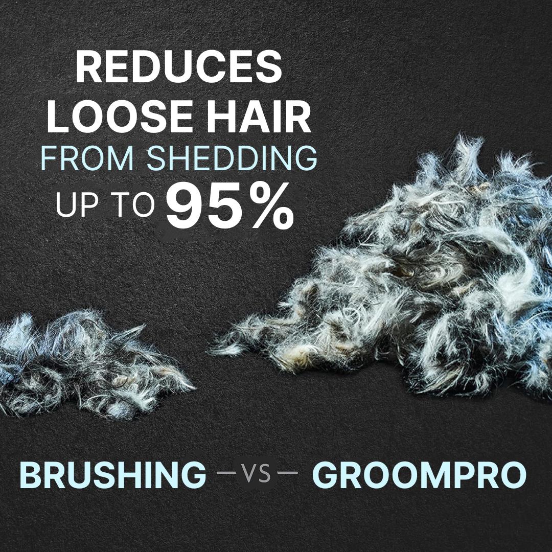 1787387189_kJJQRFyO Profesjonalny PET Grooming Device