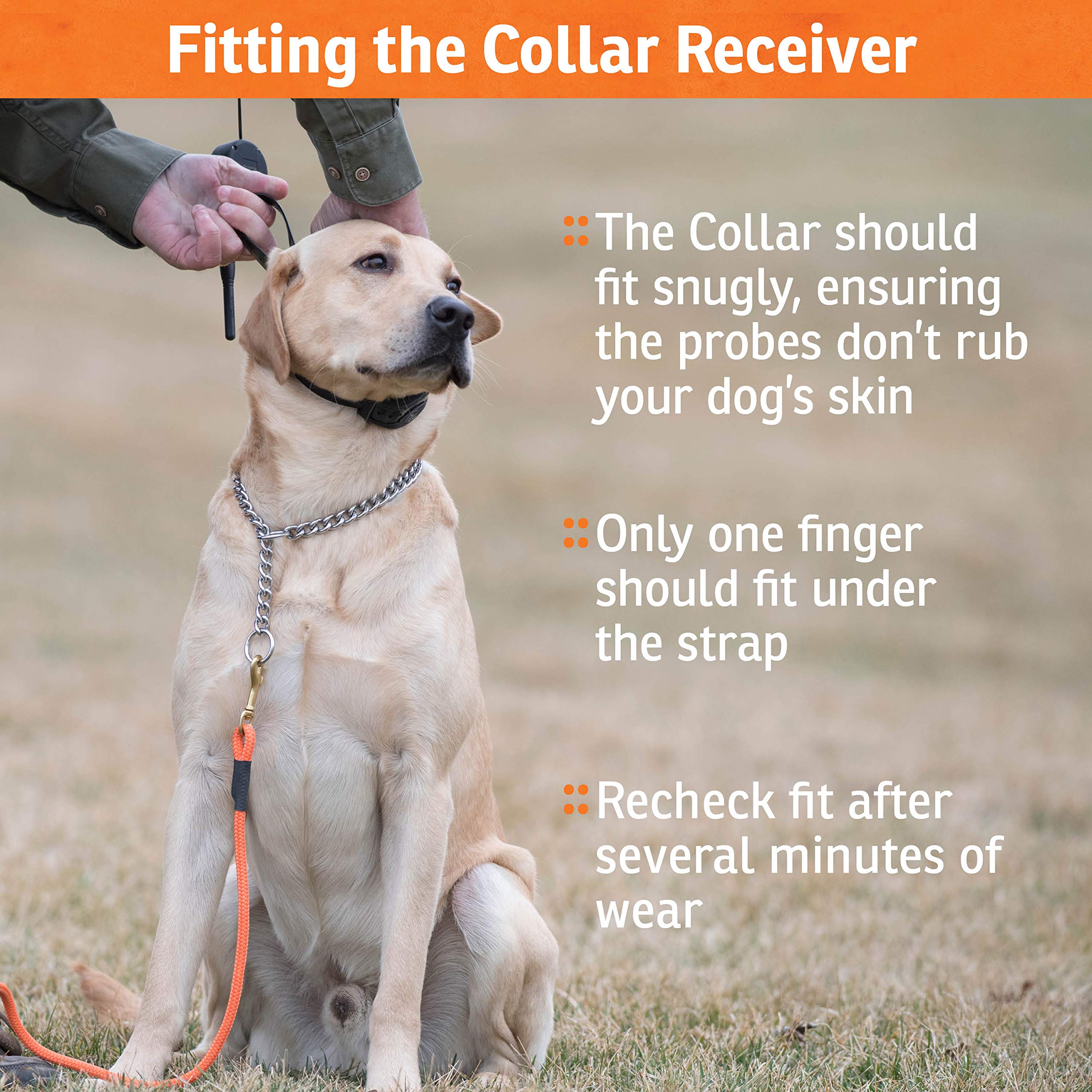 1787402679_QFDOUqiy Nobark 10 Collar z dla psa Bark Collars, akumulatorowy