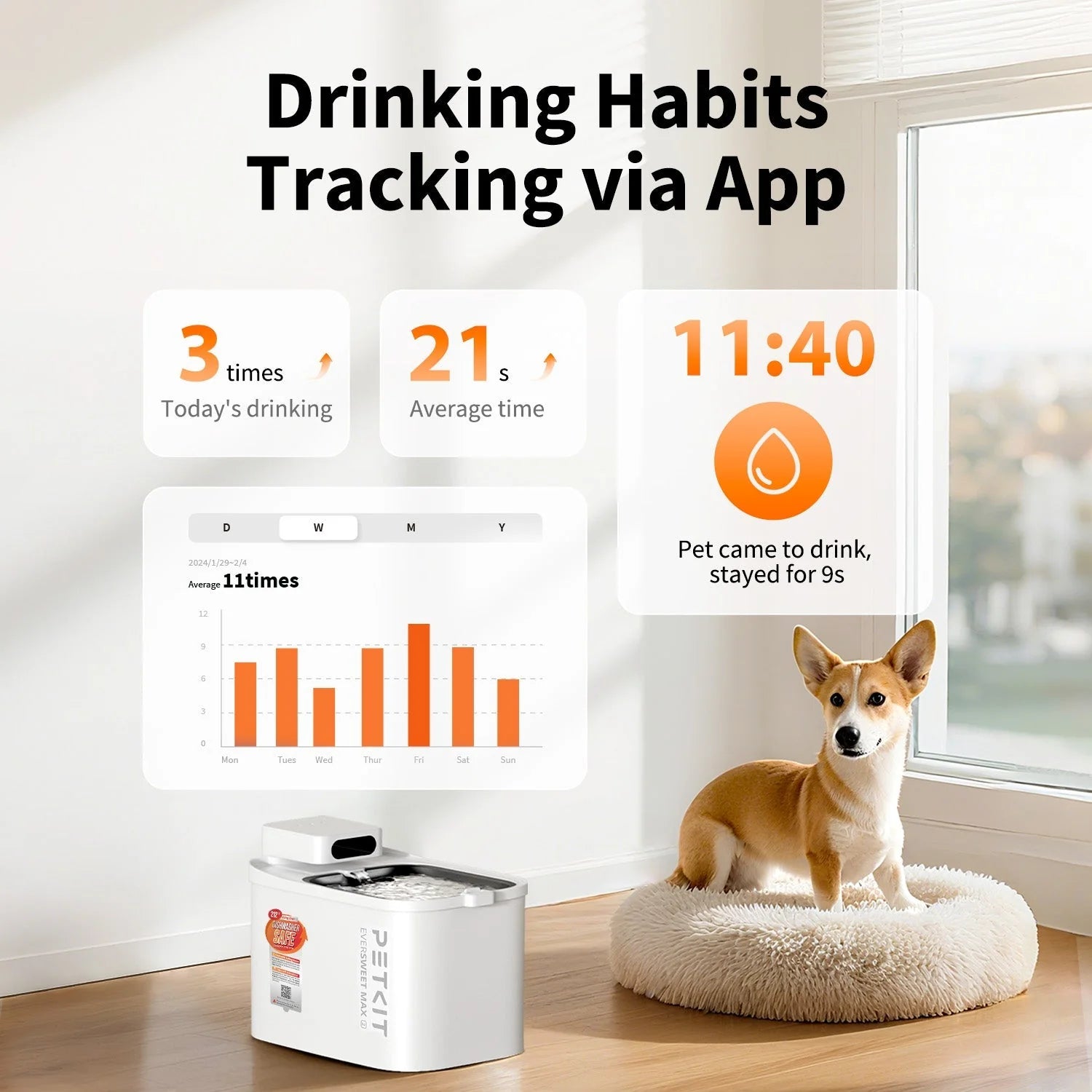 1787406920_WDuc0kgK Smart Ultimate zestaw