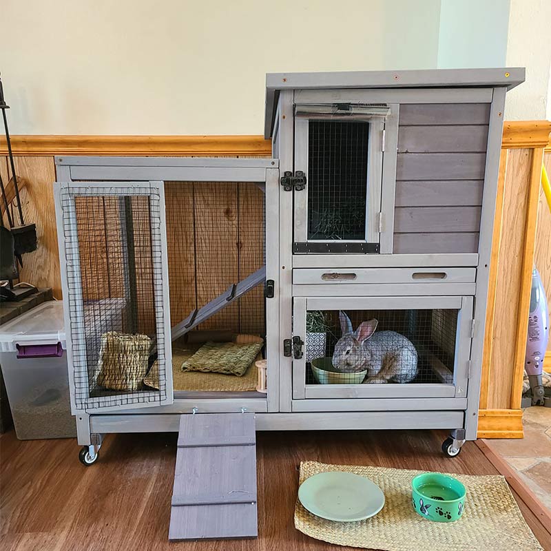 Hutch - Wooden Rabbit, Featuring Two Slide Tray Outdoor Bunny Cage Indoor Guinea Pig Habitat Pet House for Small Animals - Gray Finish
