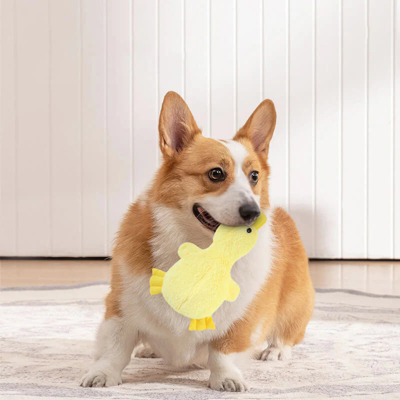 1787414569_M0AwFlU2 Toy, Interactive Cute dla psa Chew, zestaw, Playful Fun