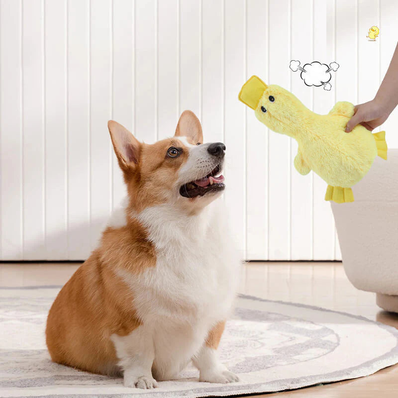 1787414572_WbWbQn9A Toy, Interactive Cute dla psa Chew, zestaw, Playful Fun
