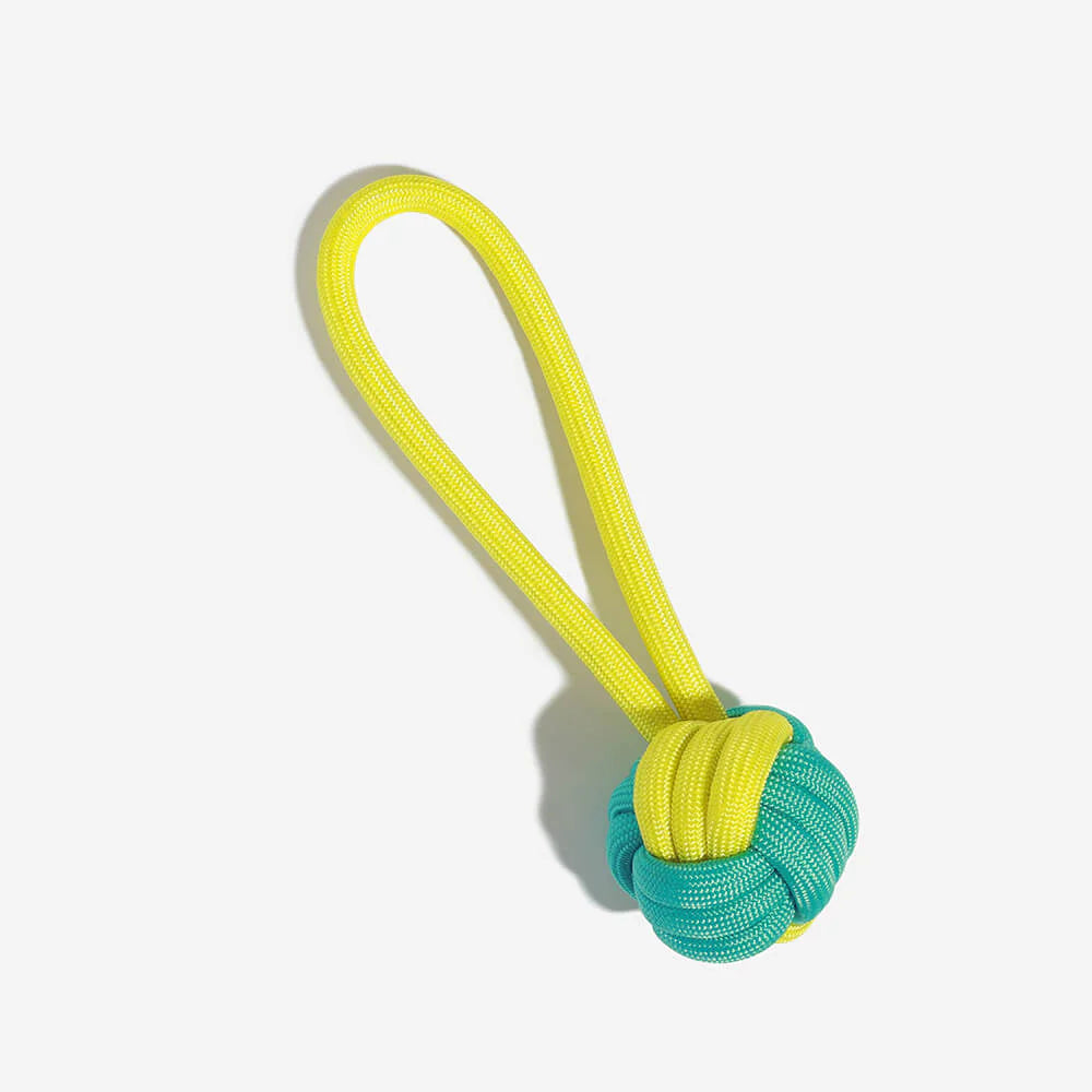 1787414586_3pCEhTSl Toy, Interactive Cute dla psa Chew, zestaw, Playful Fun
