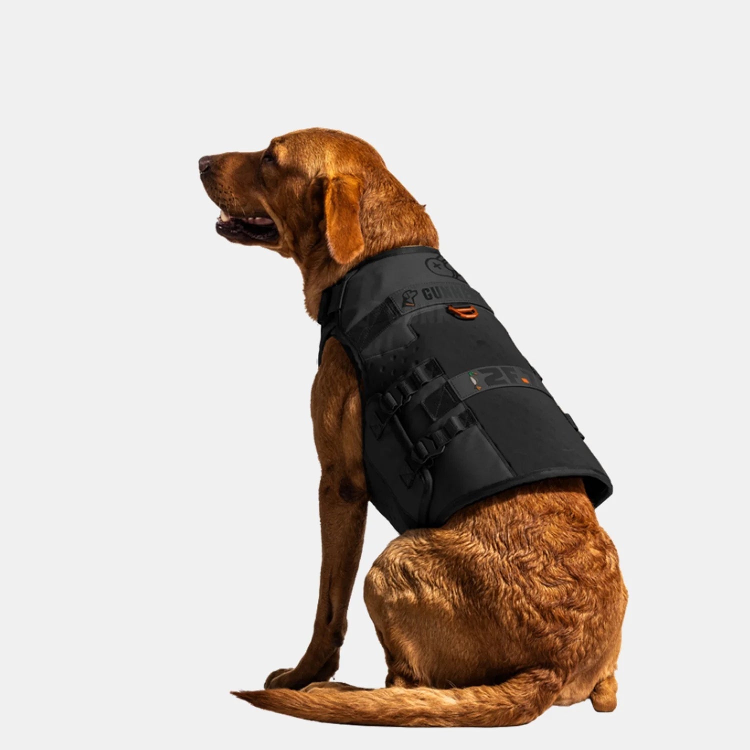 1787416706_DHlg22G0 X 2F.7 Waterfowl dla psa Vest