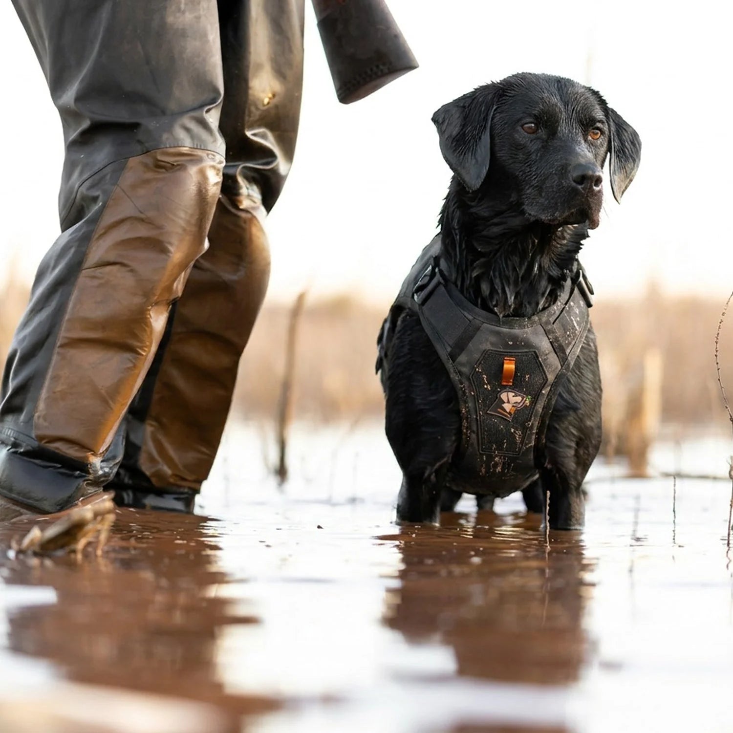 1787416721_881d9tFE X 2F.7 Waterfowl dla psa Vest