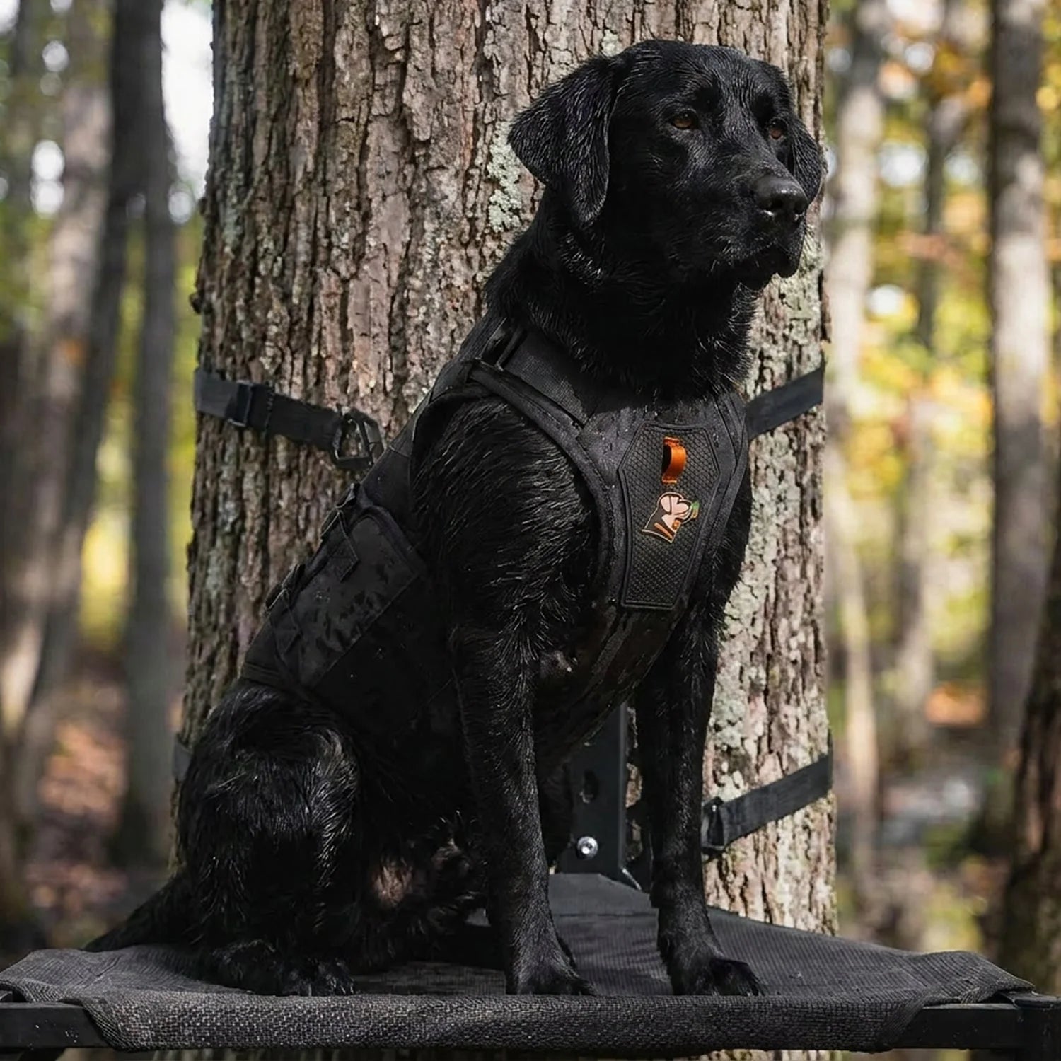 1787416725_wmD5Iq1W X 2F.7 Waterfowl dla psa Vest