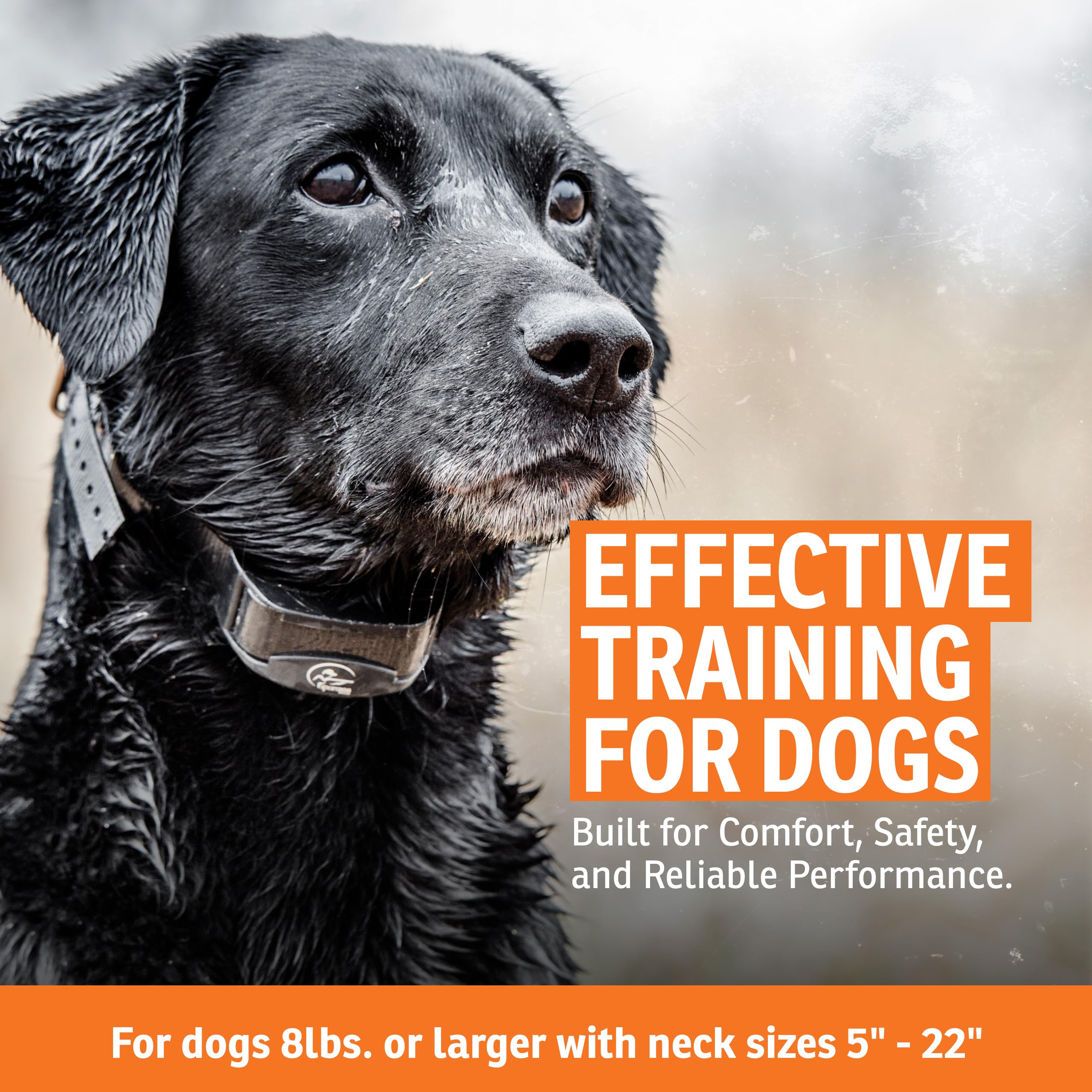 Zdalny, Yardtrainer 300, dla psa Training Collar, 300 Yards