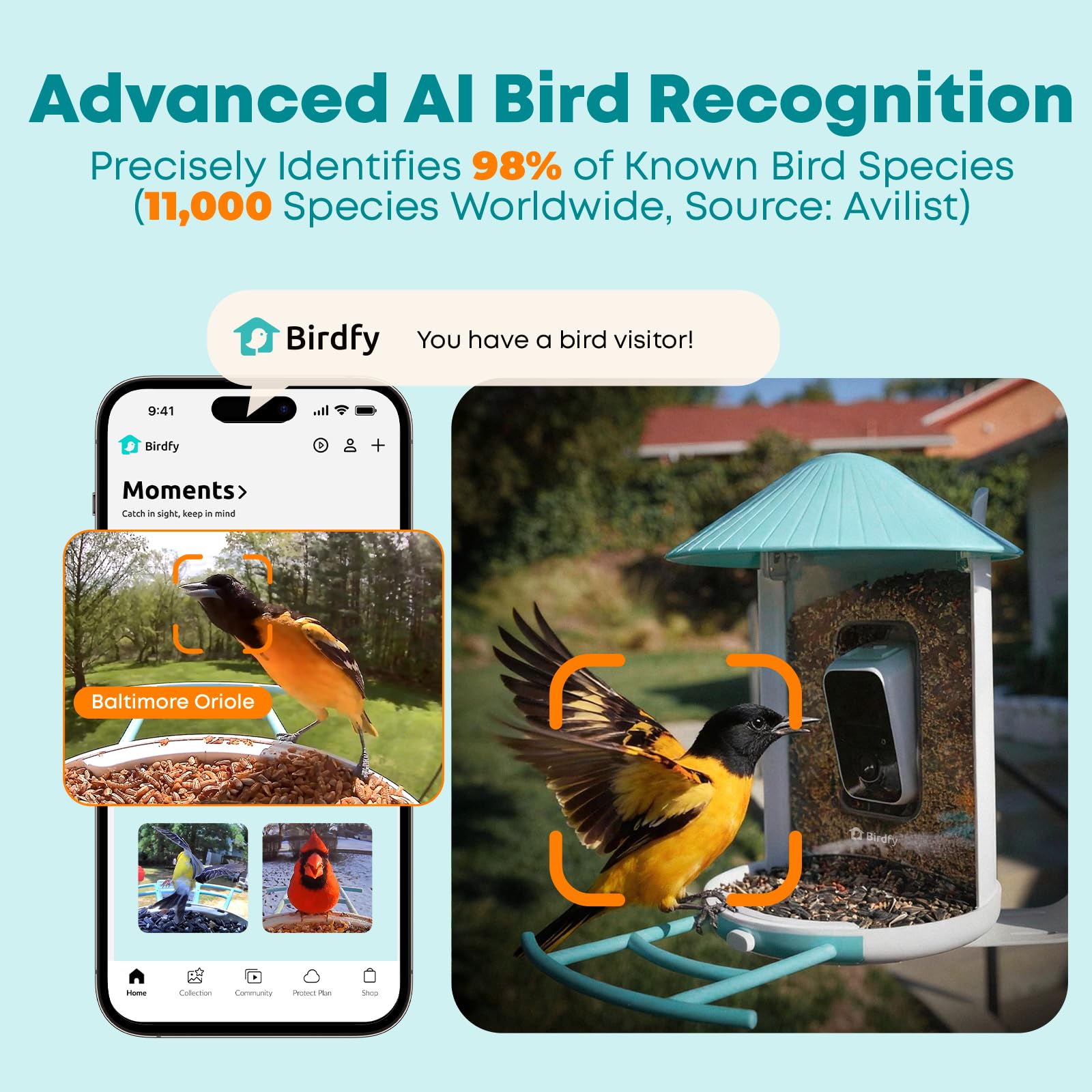 1787470791_frDPQzRF Smart Bird karmnik z Ai kamera i Live Stream