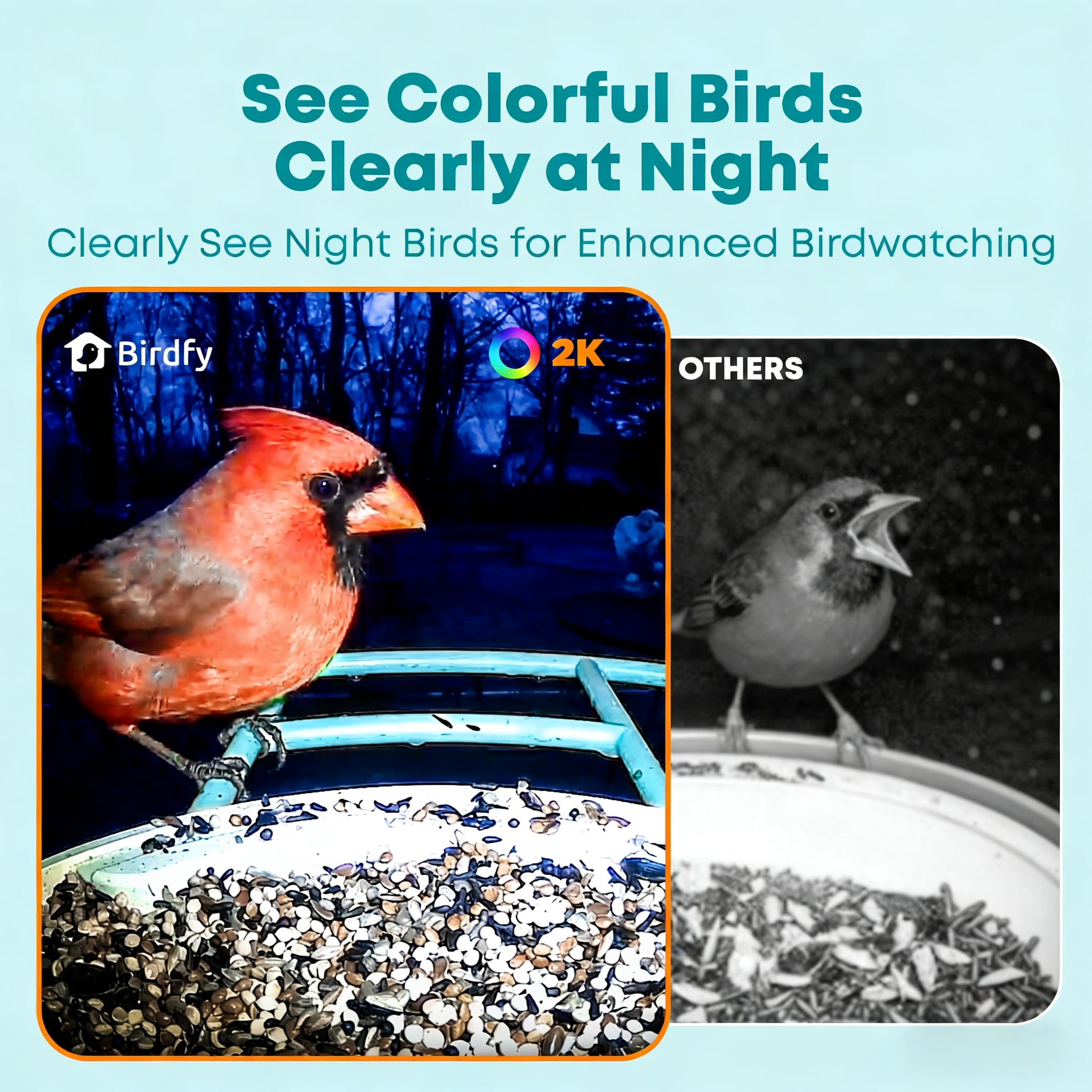 1787470795_n9S6GMay Smart Bird karmnik z Ai kamera i Live Stream