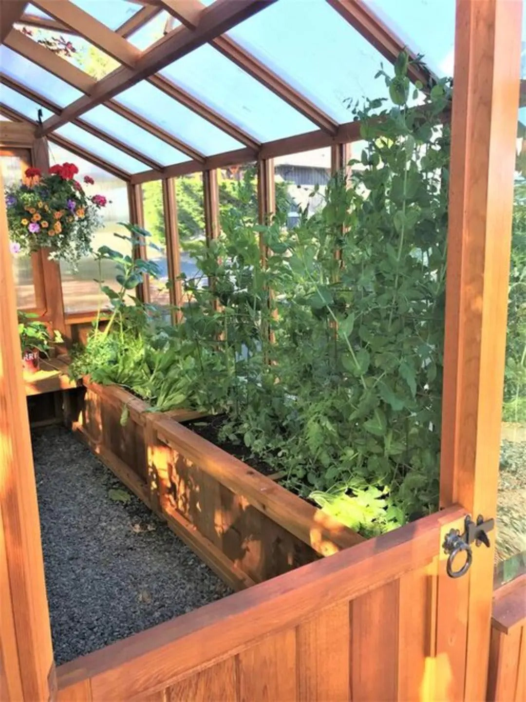 1787498722_k8xToO7X Czerwony Cedar 8-ftx 12' Meridian Greenhouse