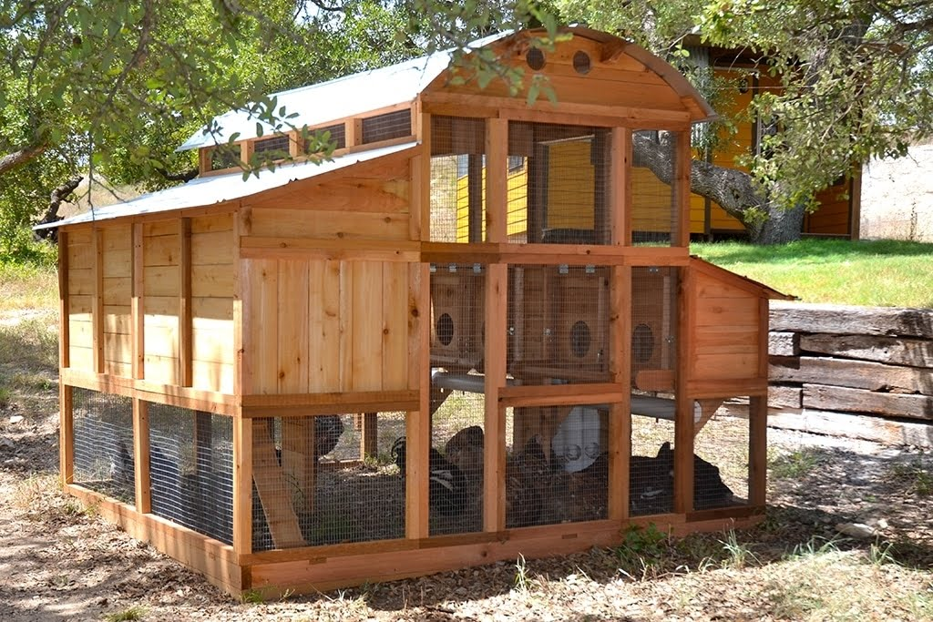 1787499286_2tRCvHS8 Coop, Walk-in, Domed dla kur domek