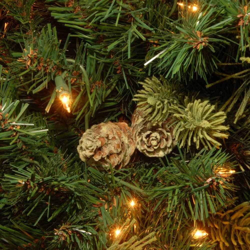 1787509538_8Nx8jzwj 7.5 ft. Carolina Pine z przezroczysty lampy Tree, 7.5 stopa