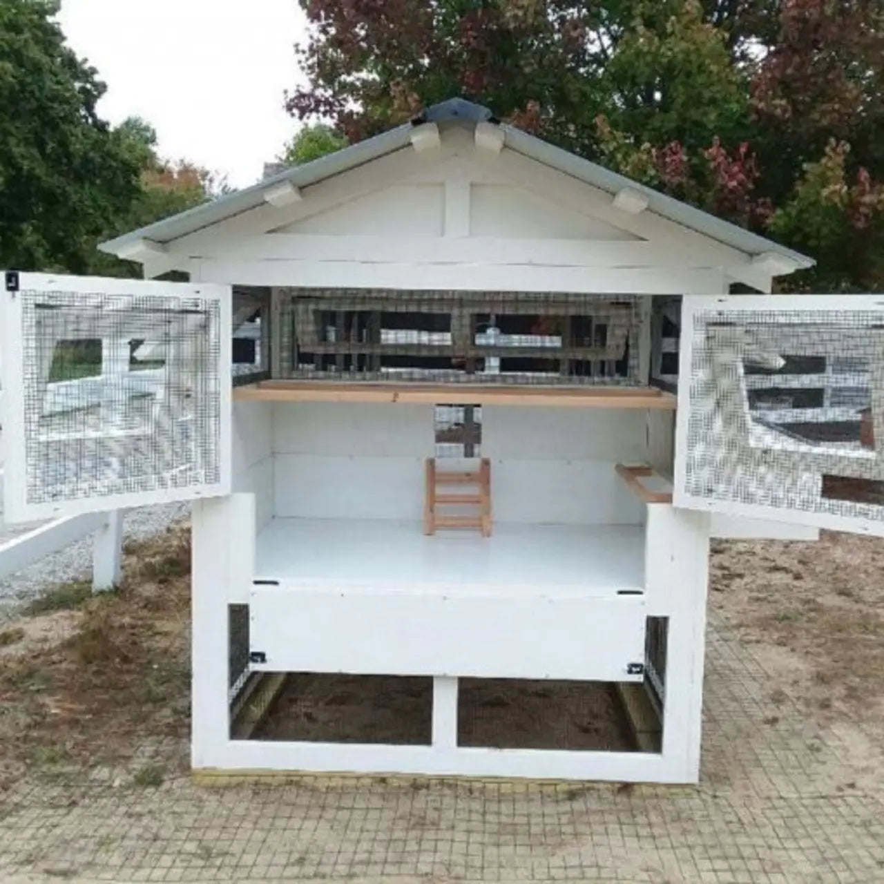 1787510808_tF1a0cY1 Amounts Are do Free-ranging dla kur Coop 6-ftx12-ftx7.5-ft