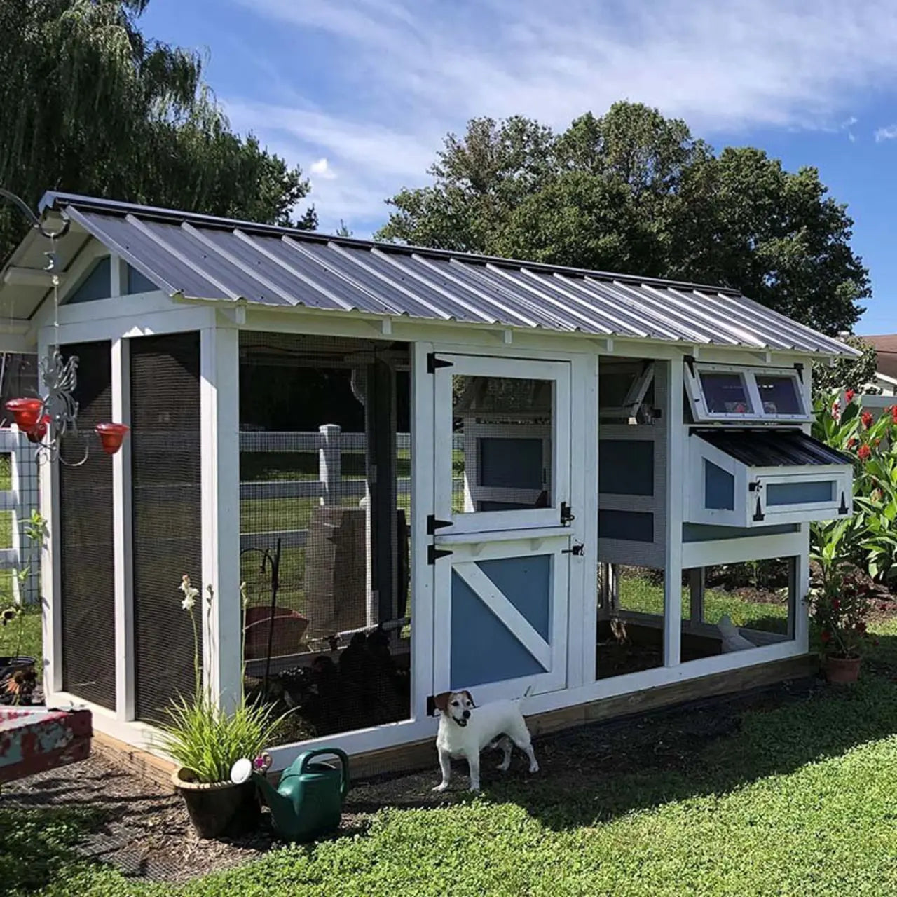 1787510812_K70d9oB2 Amounts Are do Free-ranging dla kur Coop 6-ftx12-ftx7.5-ft