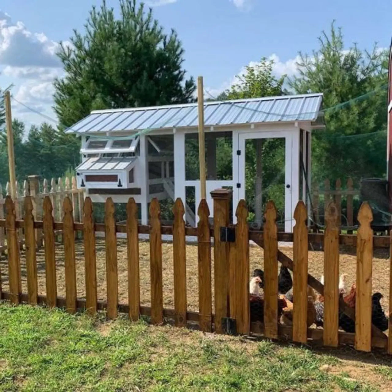 1787510824_I3xjLCnx Amounts Are do Free-ranging dla kur Coop 6-ftx12-ftx7.5-ft
