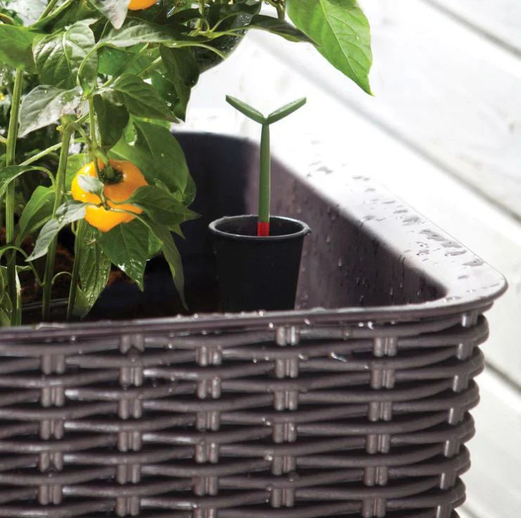 1787521093_Q33QOInF Ciemny brązowy Wicker Raised ogrodowy lozko Planter W/ wody Indicator