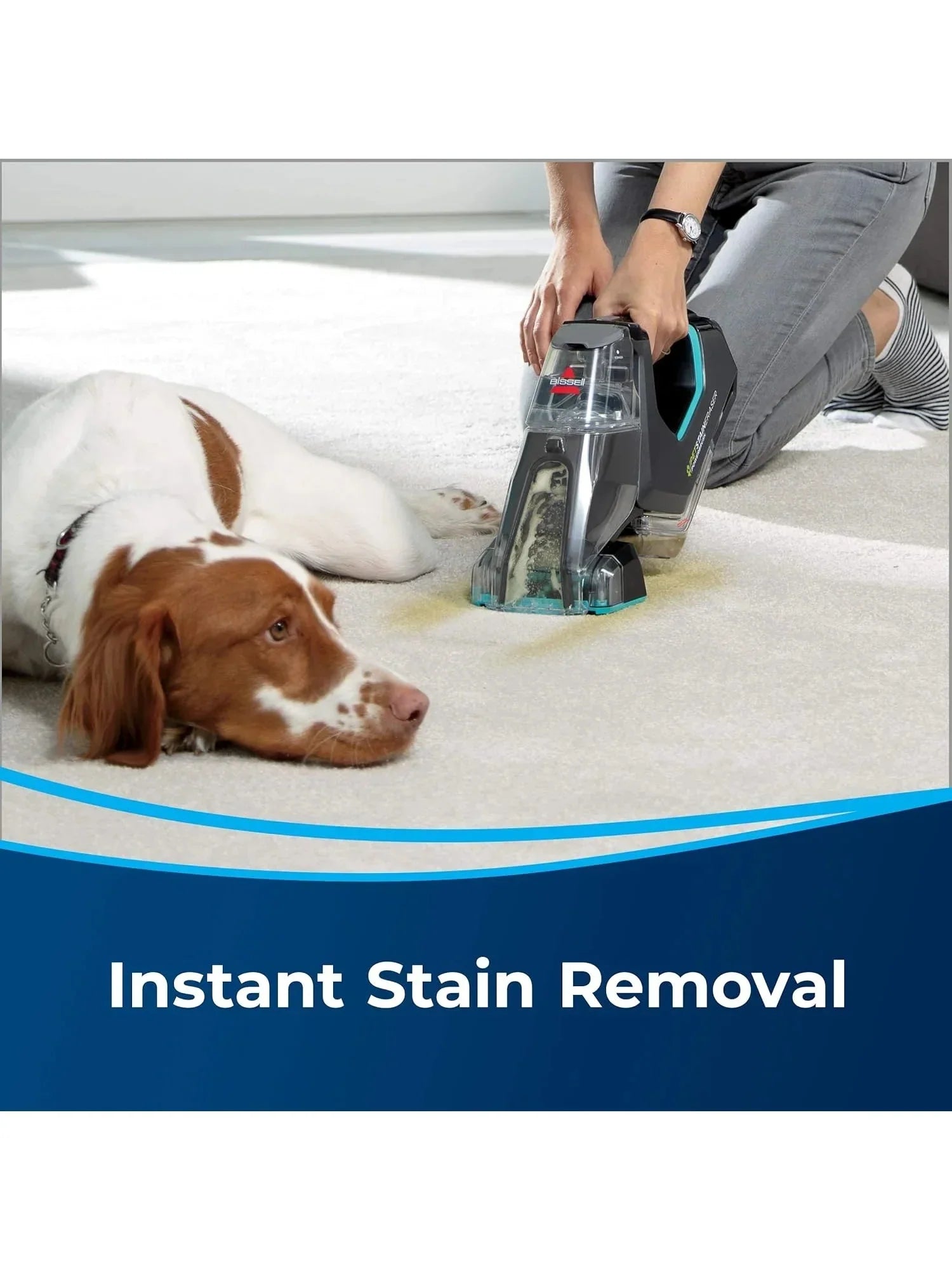 1787580679_y2ALoxri PET Stain Eraser Powerbrush z 20 Min Runtime, Dirtlifter Powerbrush, Stationary PET narzędzie