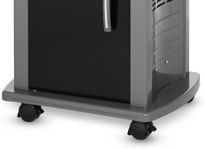 1787619215_N9Ssqddu Spirit E-210 grill gazowy, 2-palnik Liquid propanowy