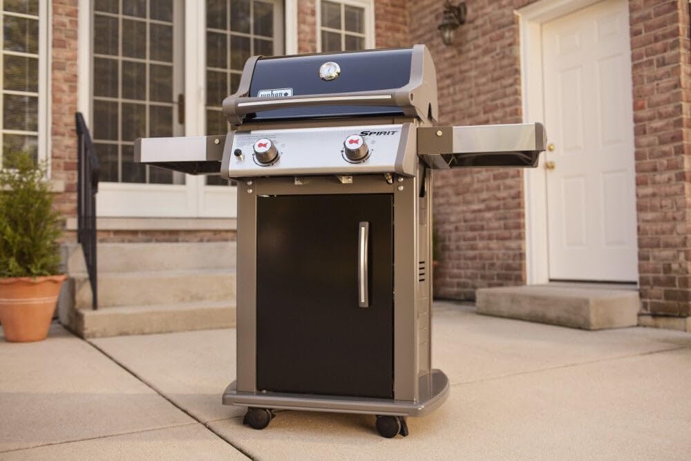 1787619219_jy53vCsT Spirit E-210 grill gazowy, 2-palnik Liquid propanowy