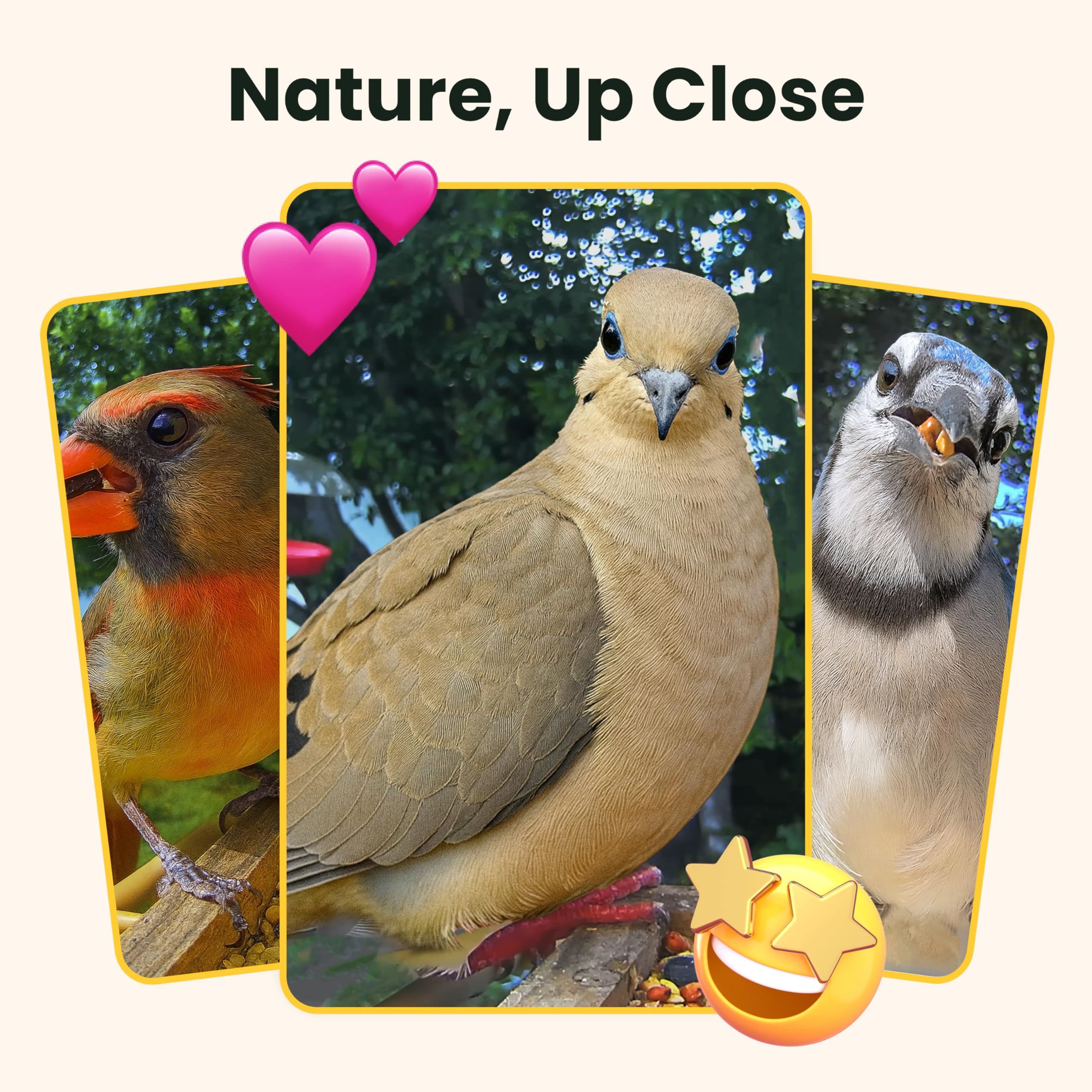 1787652717_WuBQPjjI Smart Bird karmnik z kamera i słoneczny moc