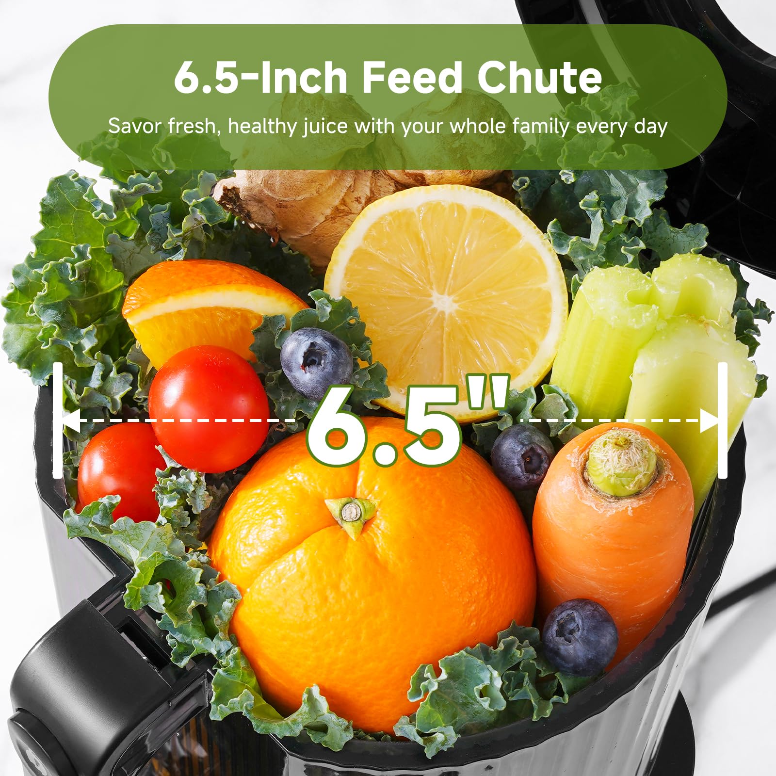 1787654953_vLGcqduG Press, 3-in-1 Cold, Juicer z 6.5 Feed Chute