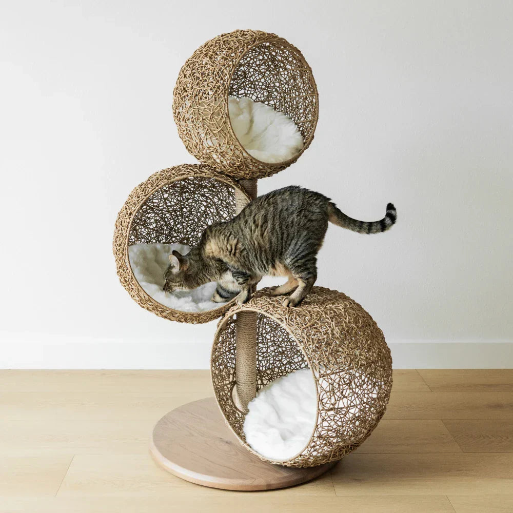 1787695043_P2IkzcSq Lua Scratching Post
