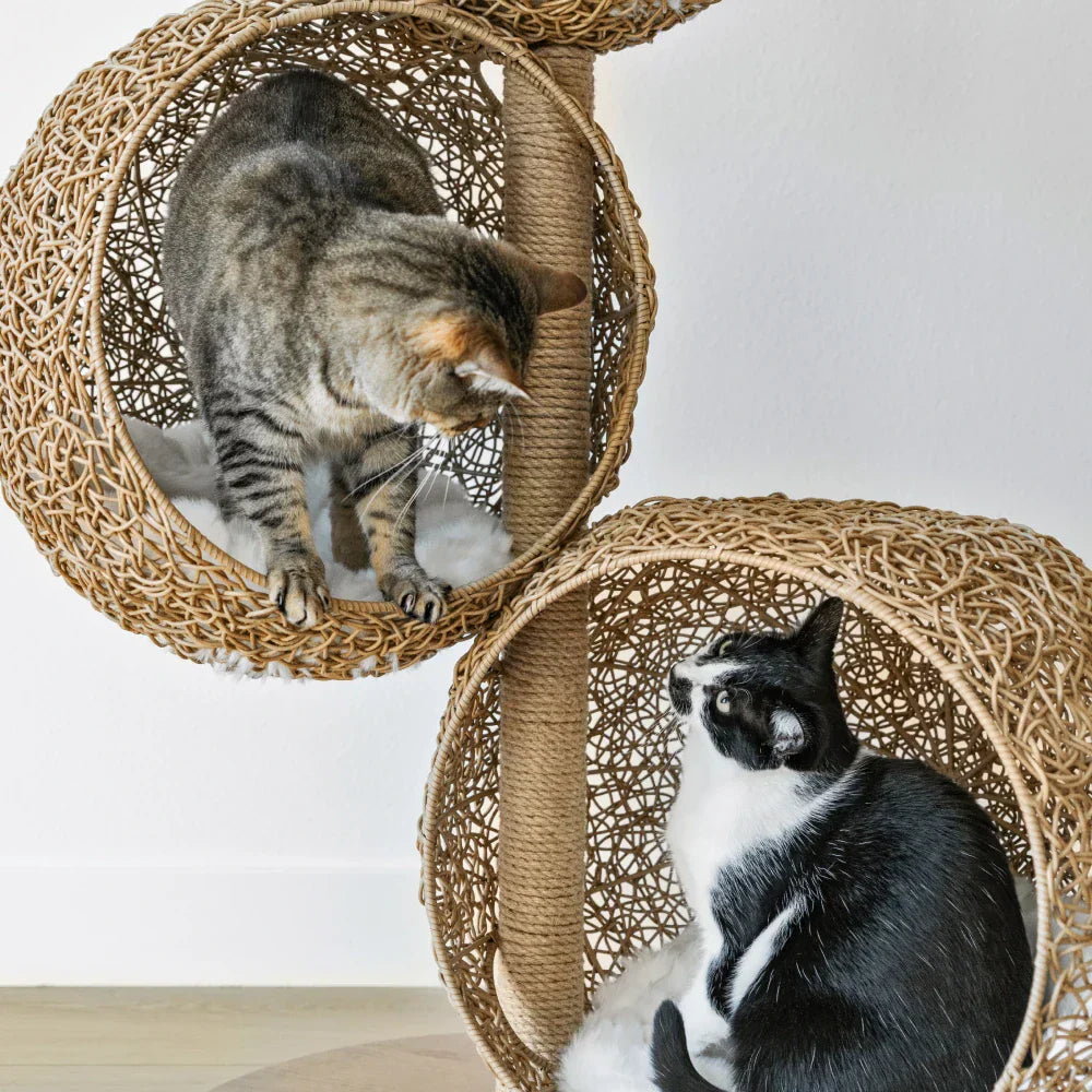 1787695052_1OimITlq Lua Scratching Post