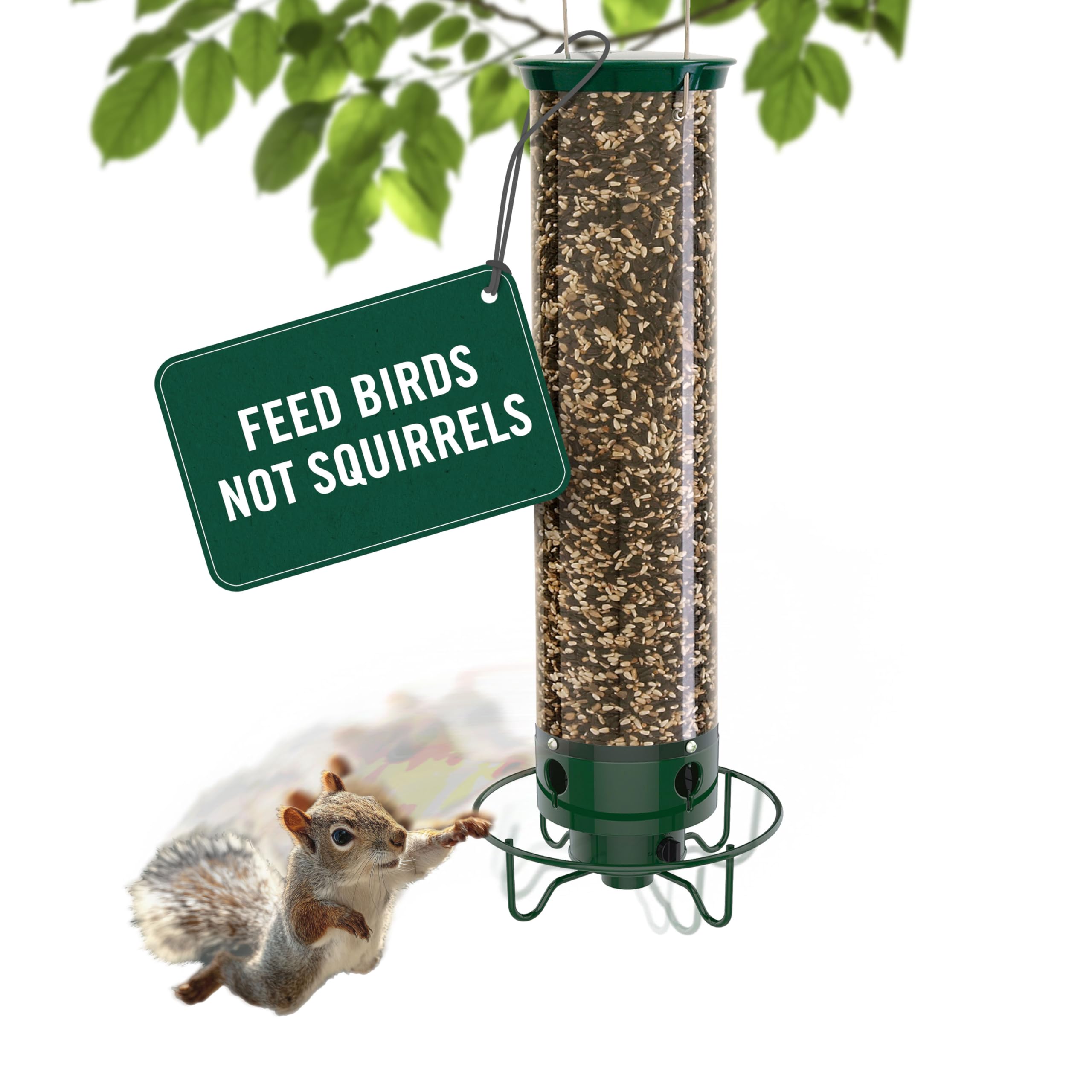 Yankees Squirrel Proof Bird karmnik z Rotating Perch