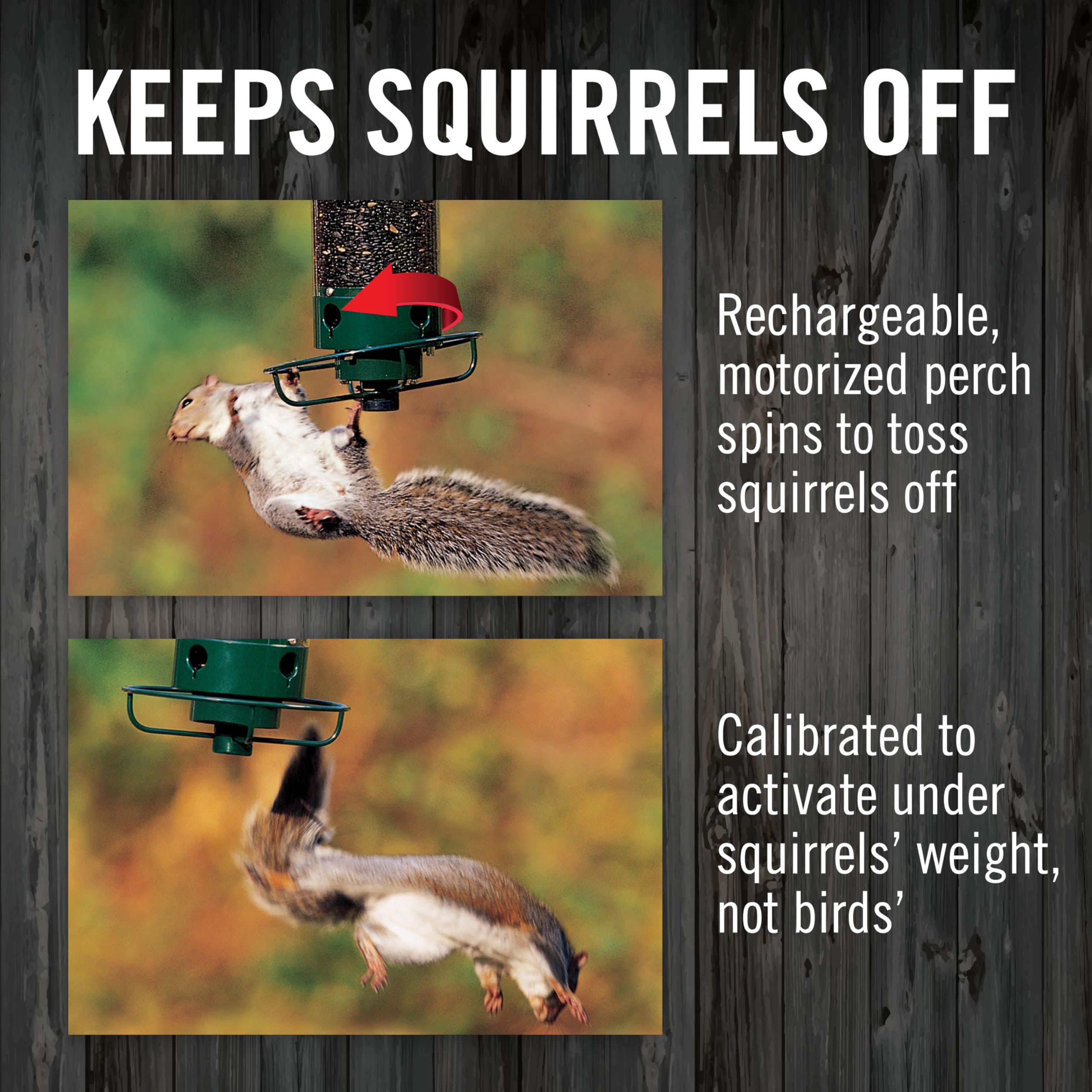 Yankees Squirrel Proof Bird karmnik z Rotating Perch
