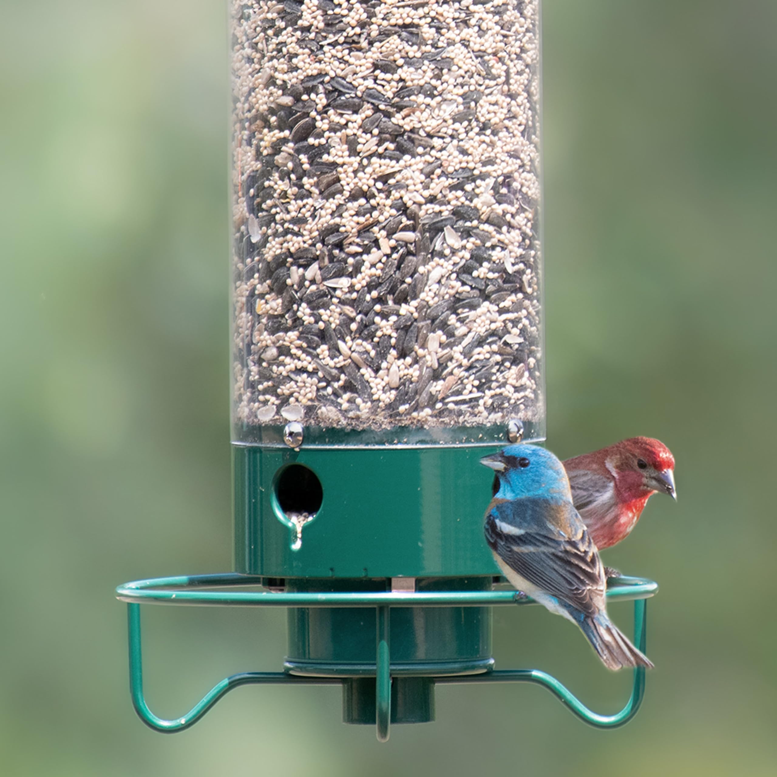 Yankees Squirrel Proof Bird karmnik z Rotating Perch
