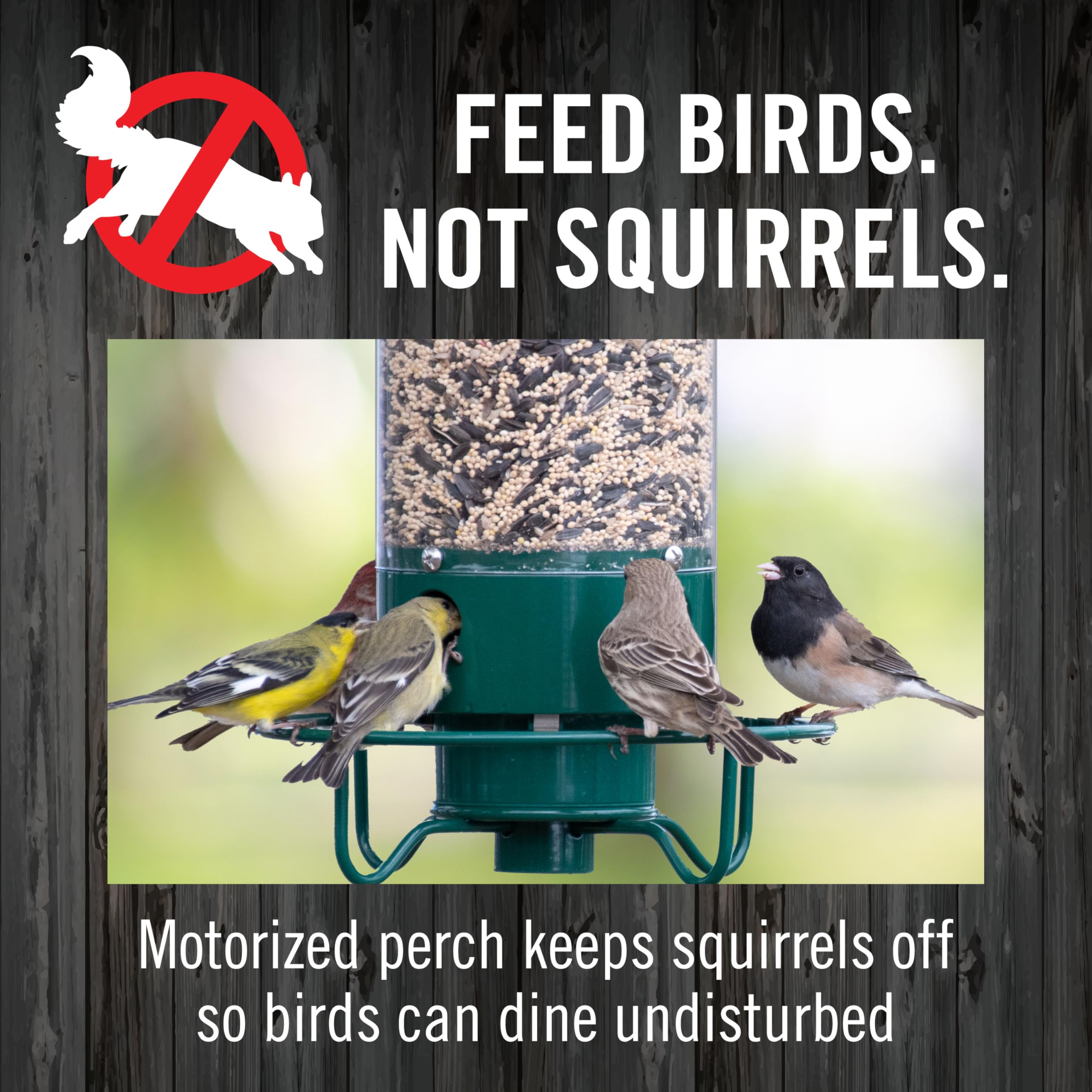 Yankees Squirrel Proof Bird karmnik z Rotating Perch