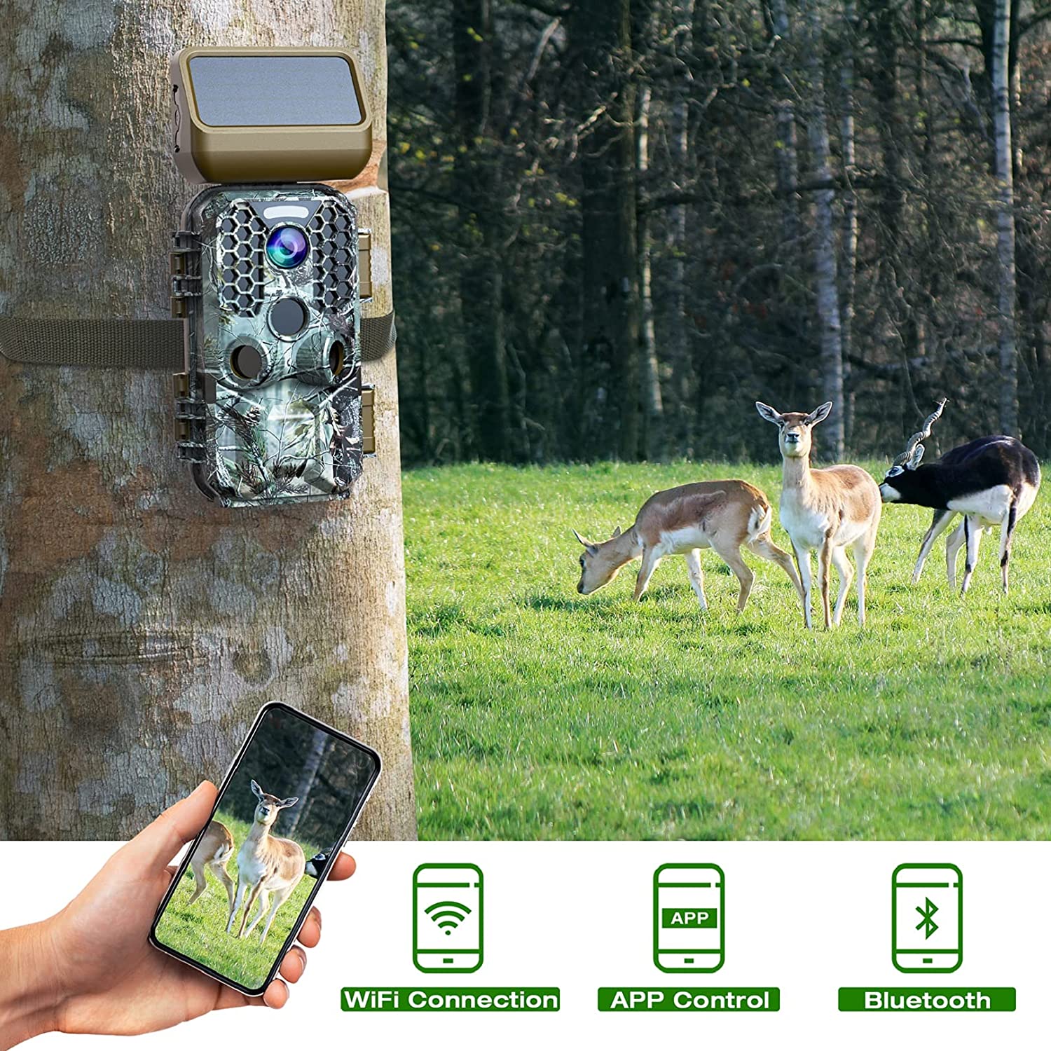 1787775742_UhhPKaRQ T200 4K 30MP panel słoneczny Trail kamera z Wi-Fi Bluetooth